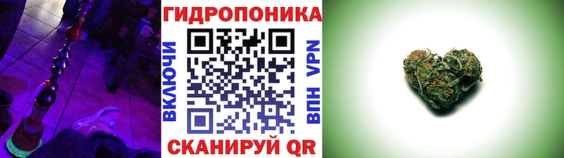 Цена Куртамыш Галлюциногенные грибы  MEGA ТОР  АМФ  ГАШ  КОКАИН  Каннабис  Мефедрон  ЭКСТАЗИ 